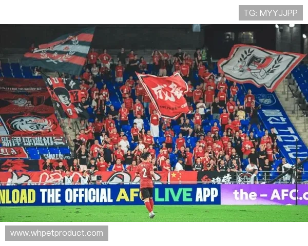 亚足联对蓉城处以3000美元罚款因球迷向蔚山球员投掷水瓶事件